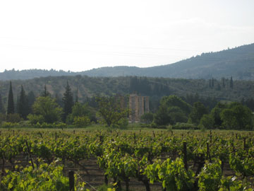 Tagaras family estate