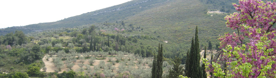 Tagaras Greek Wine