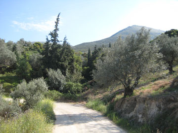 Tagaras Family Farm