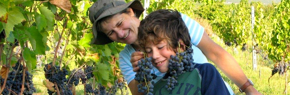 Tagaras Greek Wine